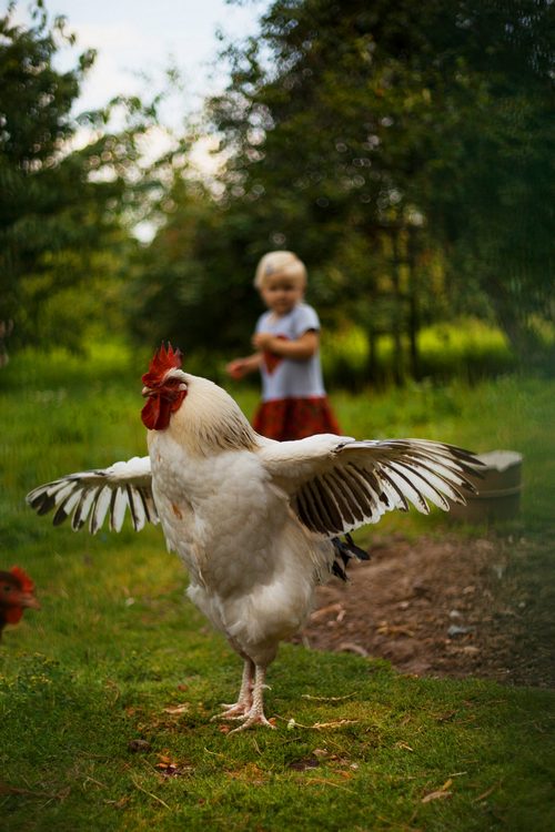 Fotografia dziecięca
